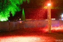 APL_034725