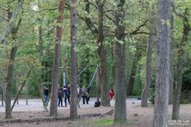 APL_276311